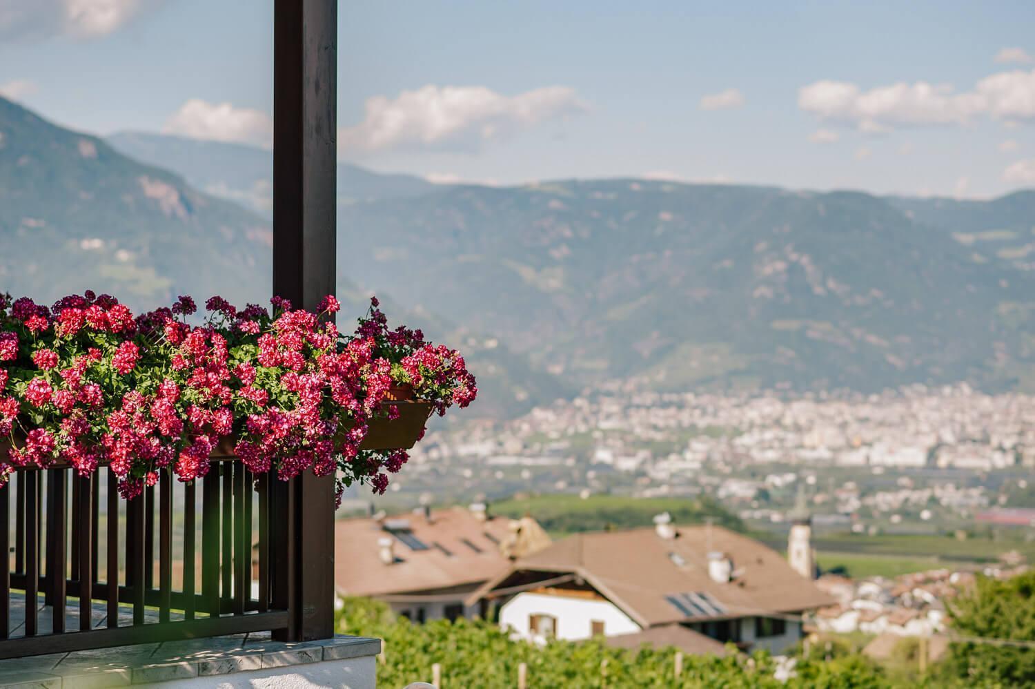 Strahlerhof Lejlighed Eppan an der Weinstraße Eksteriør billede