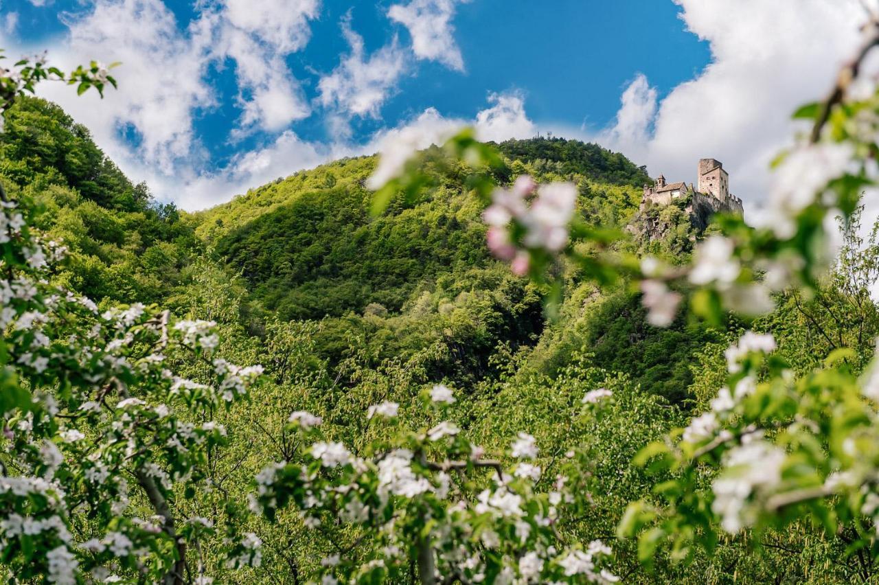 Strahlerhof Lejlighed Eppan an der Weinstraße Eksteriør billede